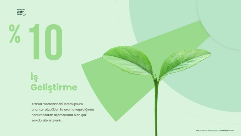 PowerPoint Yatırım Giderleri Sunumu, Sunum Ajansı