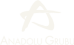 anadolu-grubu-logo